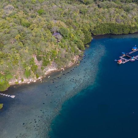 Menjangan Ecolodge - Chse Certified Banyuwedang Zewnętrze zdjęcie