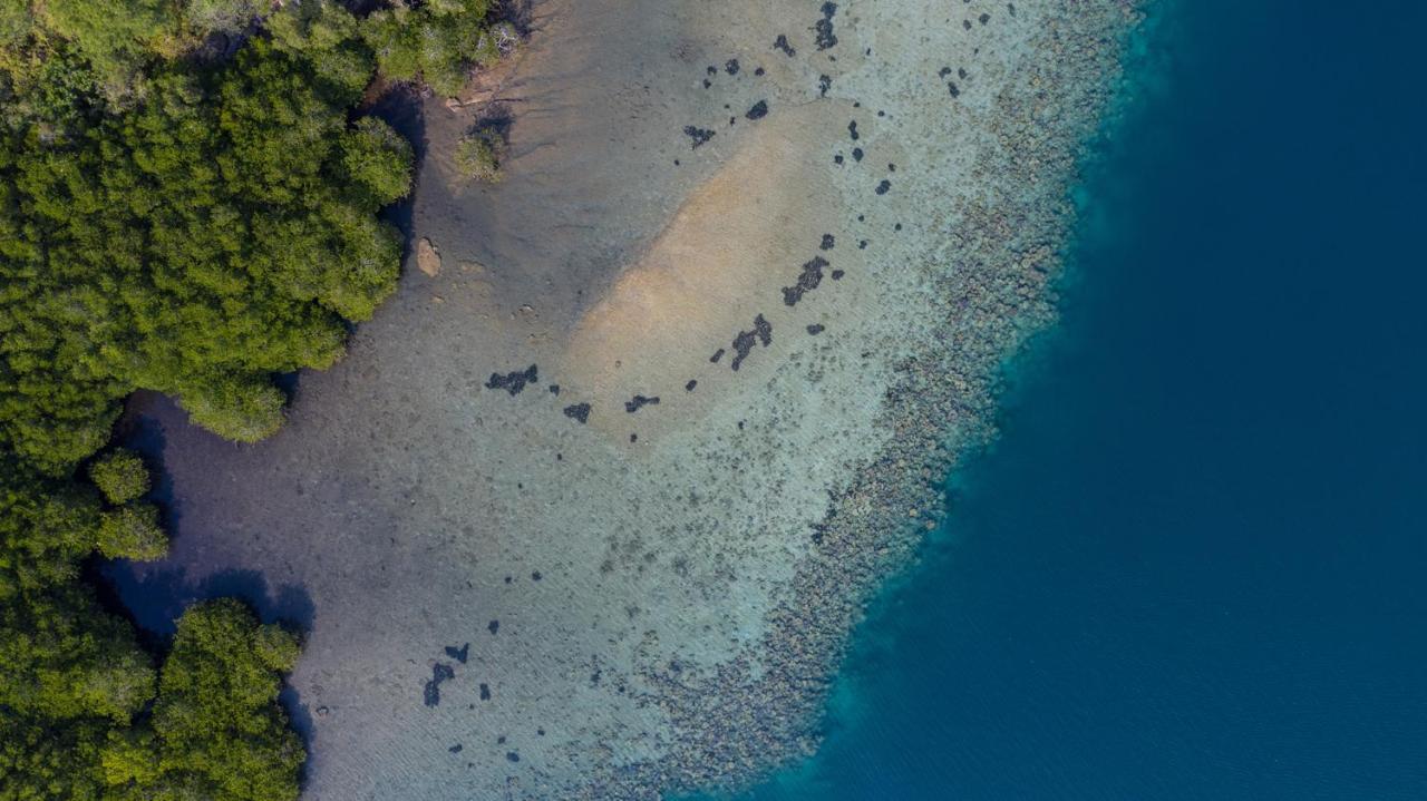 Menjangan Ecolodge - Chse Certified Banyuwedang Zewnętrze zdjęcie