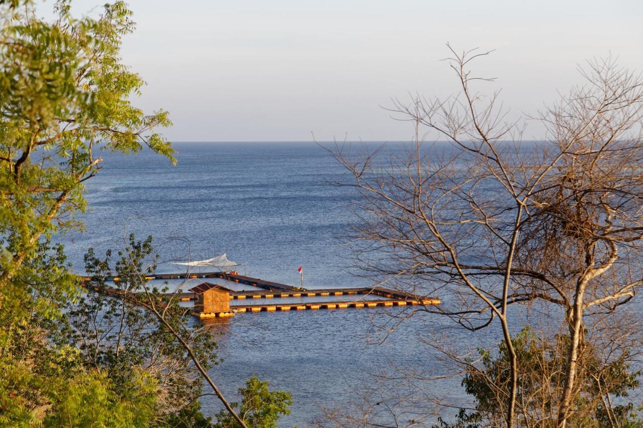 Menjangan Ecolodge - Chse Certified Banyuwedang Zewnętrze zdjęcie