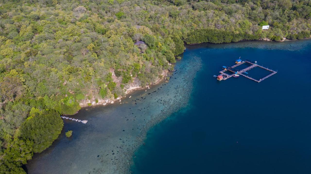 Menjangan Ecolodge - Chse Certified Banyuwedang Zewnętrze zdjęcie