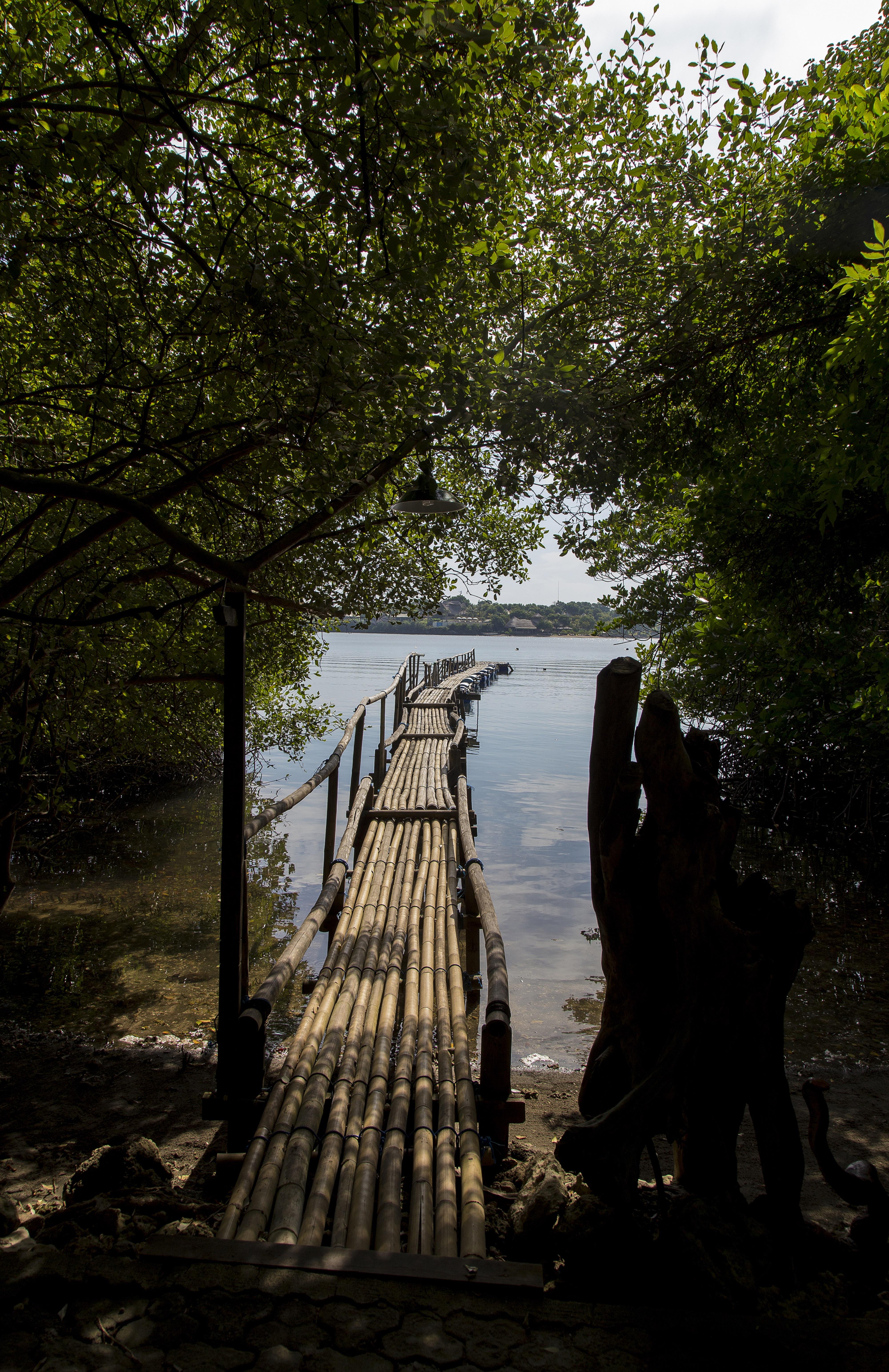 Menjangan Ecolodge - Chse Certified Banyuwedang Zewnętrze zdjęcie