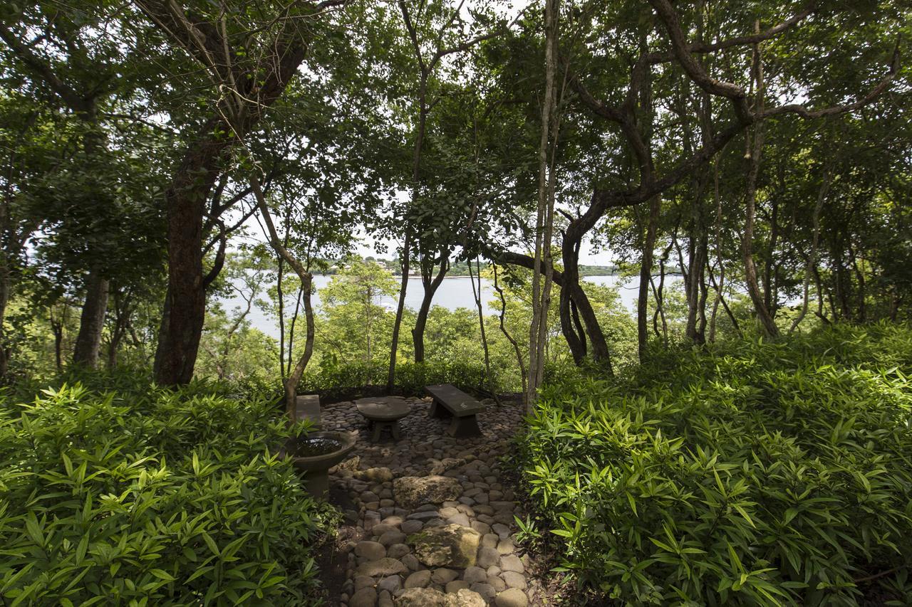 Menjangan Ecolodge - Chse Certified Banyuwedang Zewnętrze zdjęcie