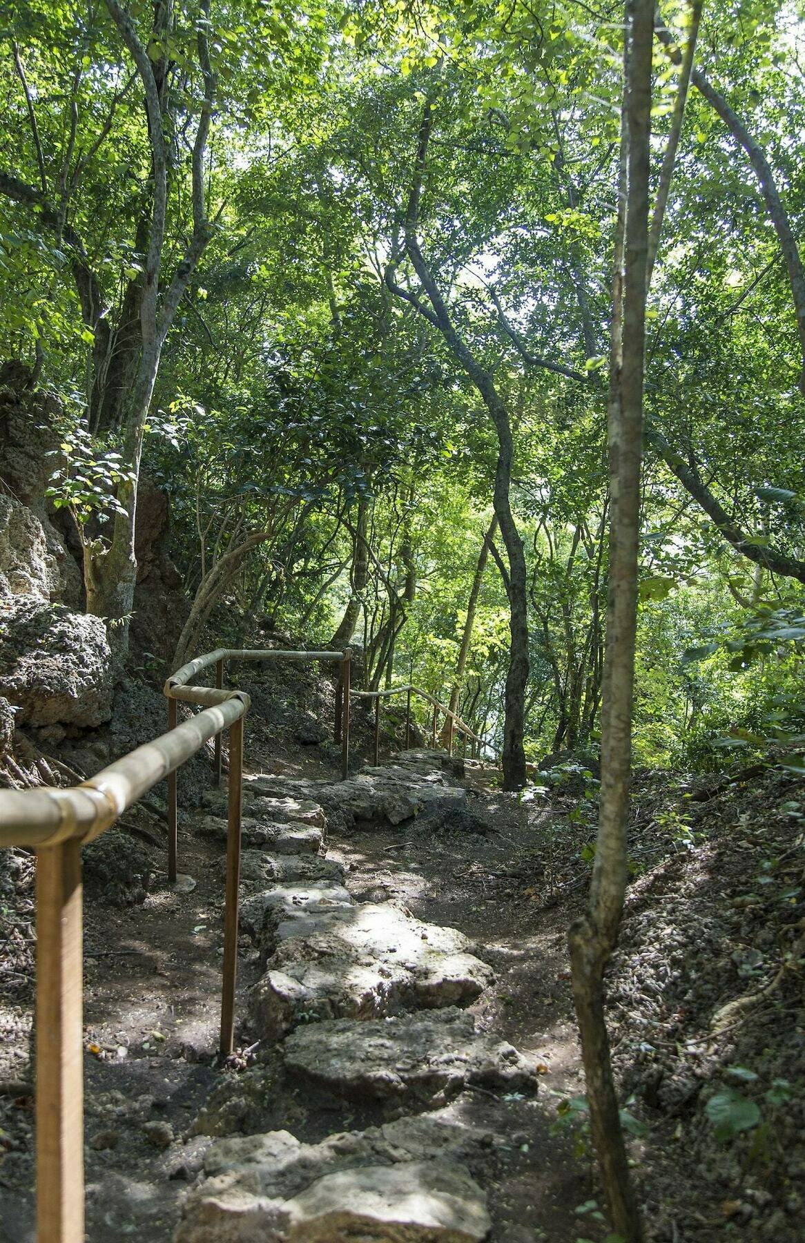 Menjangan Ecolodge - Chse Certified Banyuwedang Zewnętrze zdjęcie