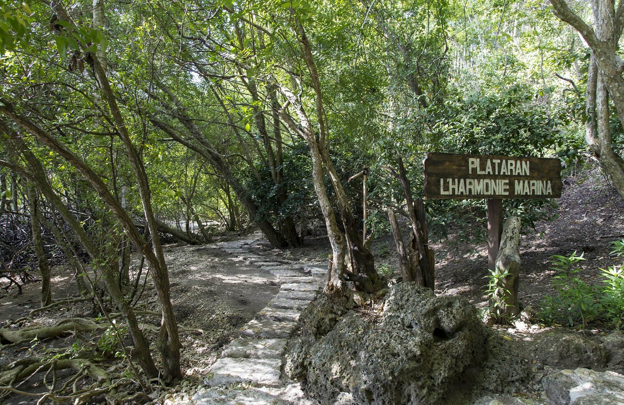 Menjangan Ecolodge - Chse Certified Banyuwedang Zewnętrze zdjęcie