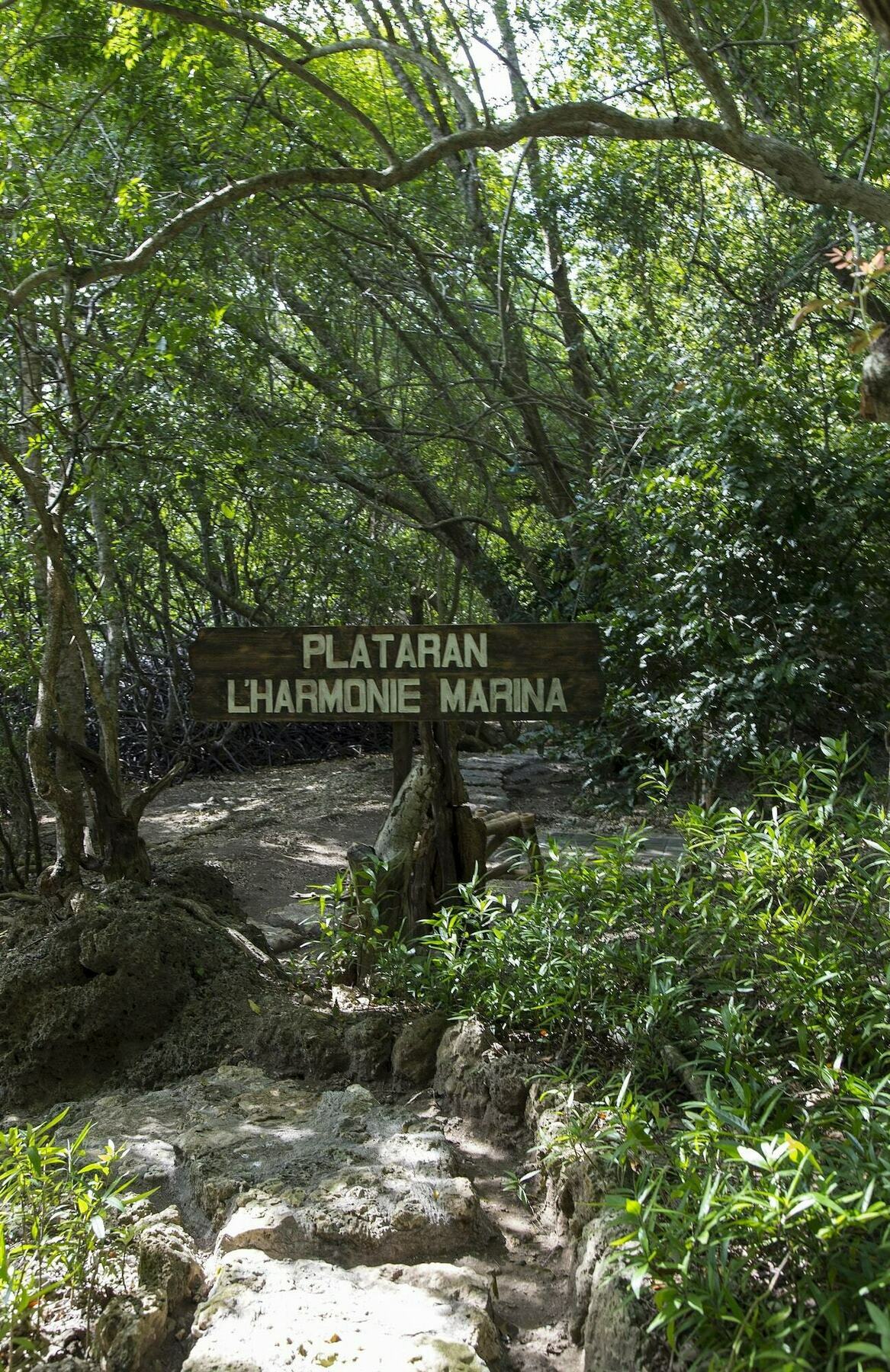 Menjangan Ecolodge - Chse Certified Banyuwedang Zewnętrze zdjęcie